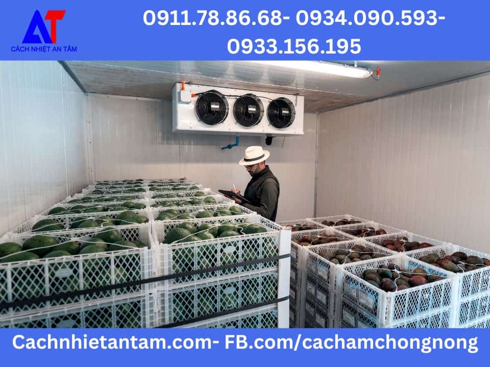 An Tâm chuyên thi công lắp đặt kho lạnh tại Việt Nam