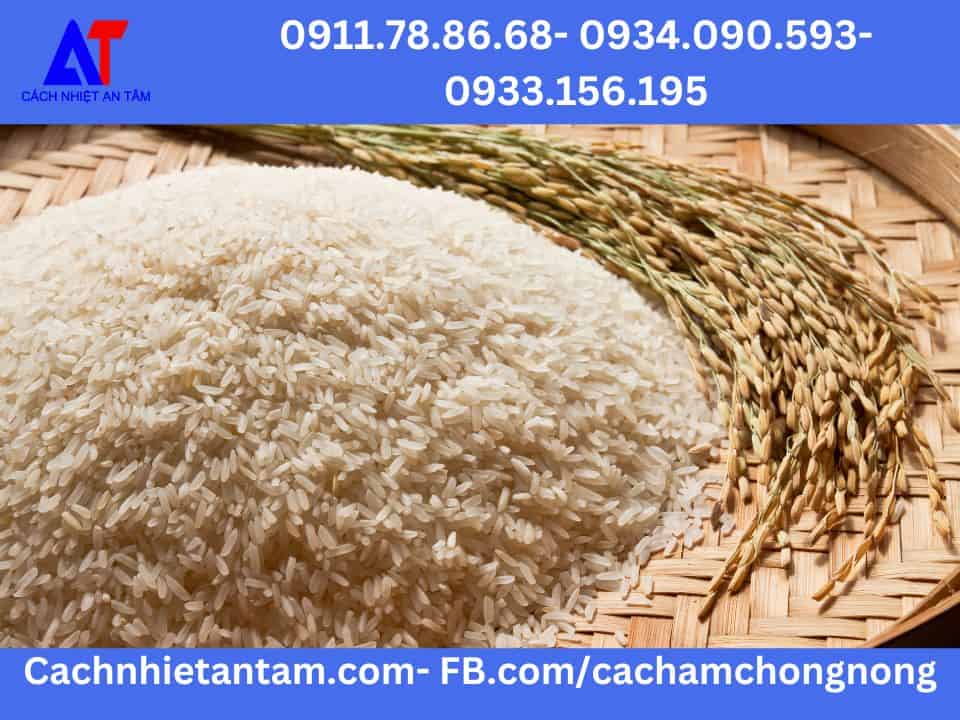 Gạo là một sản phẩm lương thực thu từ cây lúa